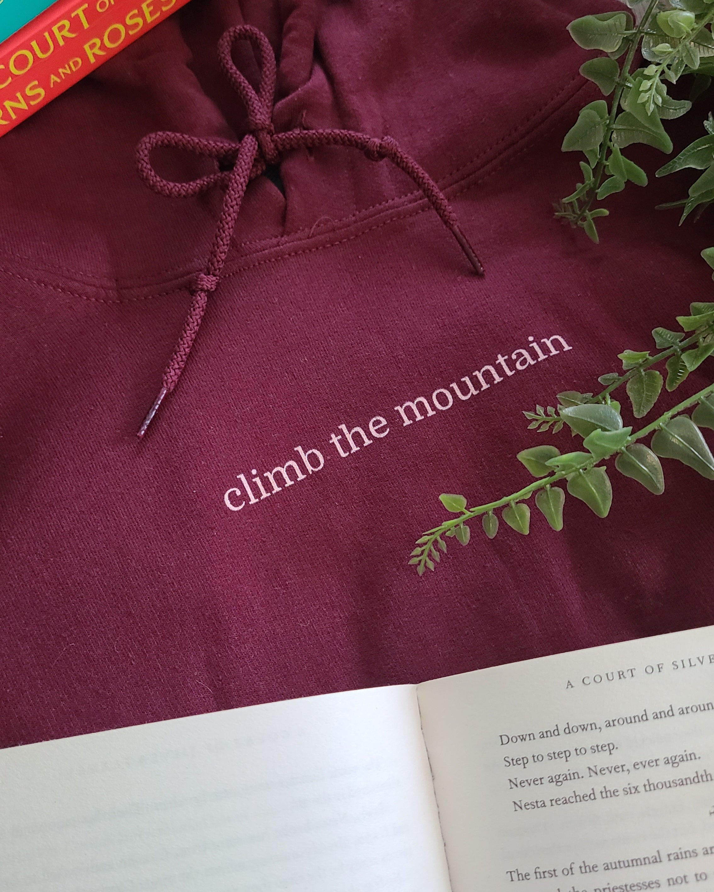 climb the mountain hoodie