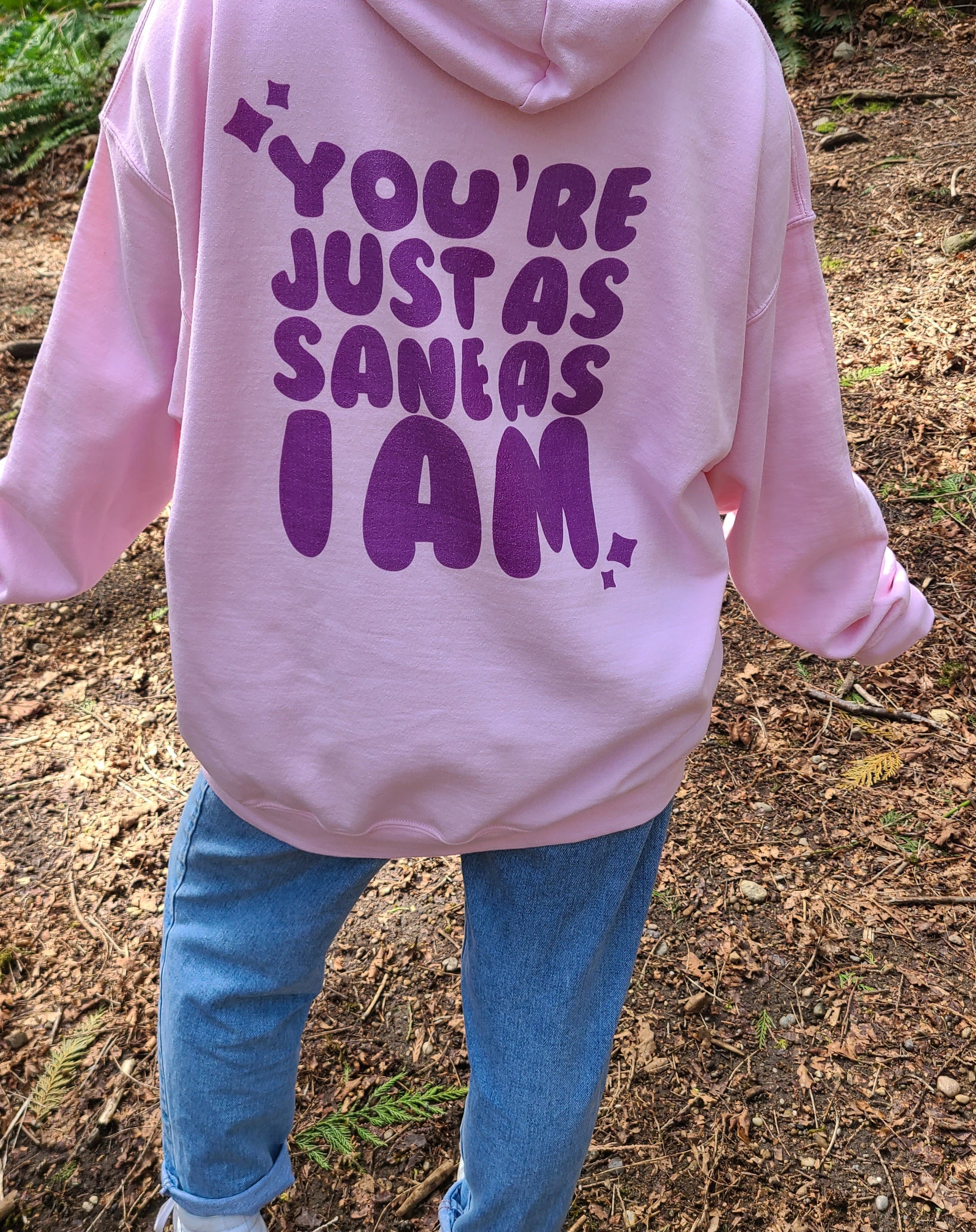 just as sane as i am hoodie