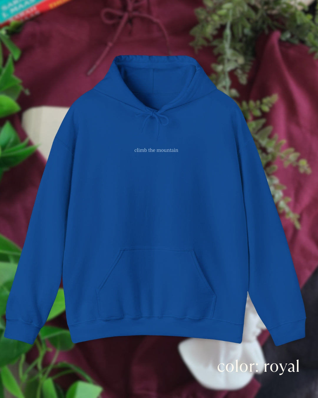 climb the mountain hoodie