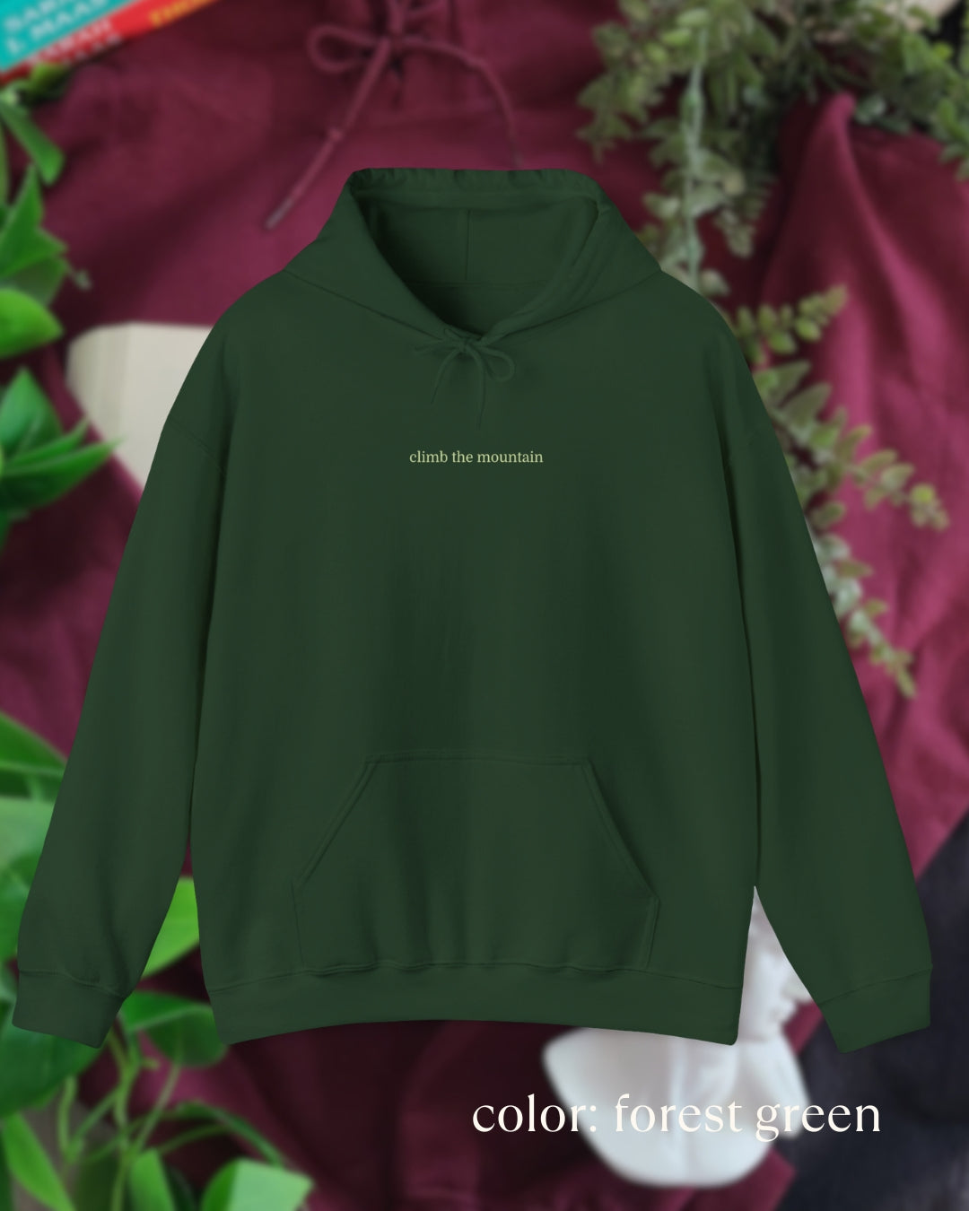 climb the mountain hoodie