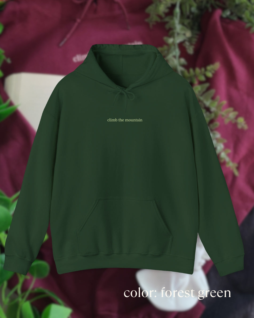 climb the mountain hoodie
