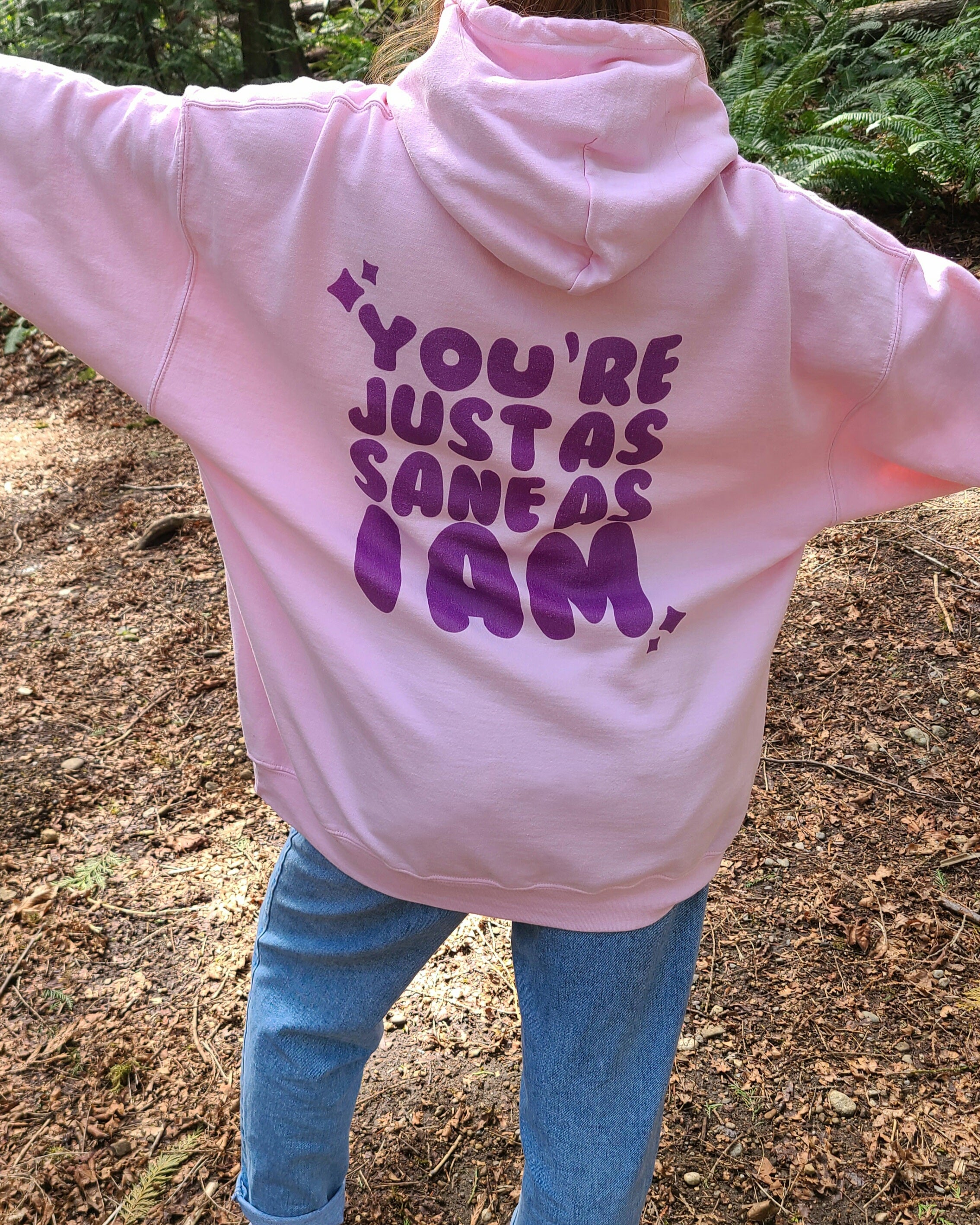 just as sane as i am hoodie